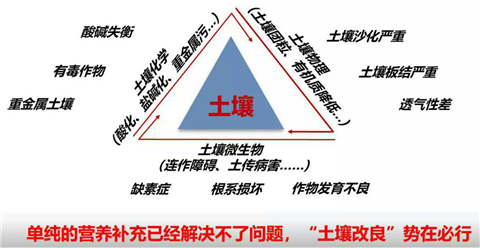 鱼蛋白,水溶肥,翠姆,肥料