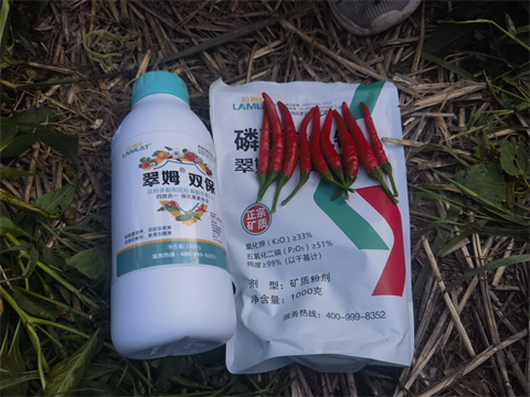 进口水溶肥,辣椒种植,拉姆拉水溶肥