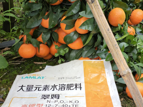 水溶肥品牌,柑橘种植,拉姆拉滴灌级特种肥 水溶肥品牌,柑橘种植,拉姆拉滴灌级特种肥