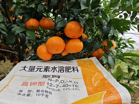 水溶肥品牌,柑橘种植,拉姆拉滴灌级特种肥 水溶肥品牌,柑橘种植,拉姆拉滴灌级特种肥