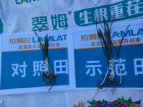 水溶肥厂家,大田种植,拉姆拉滴灌级特种肥