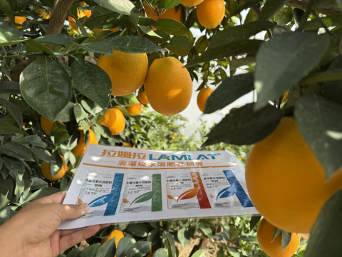 水溶肥,脐橙种植,拉姆拉滴灌级特种肥