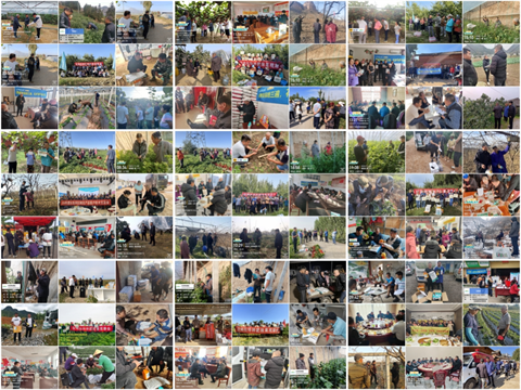 拉姆拉滴灌级特种肥,水溶肥,新年 拉姆拉滴灌级特种肥,水溶肥,新年